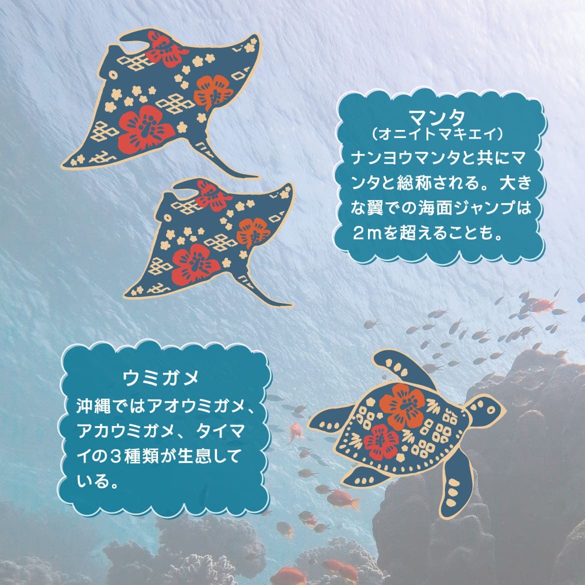 しい沖縄の海を自由気ままに泳ぐジンベエザメとおなじみの仲間たちをかわいくデザイン。
