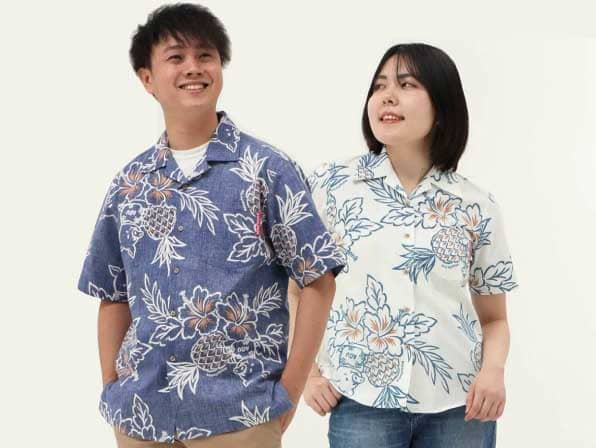 トントンあぐーハイビー