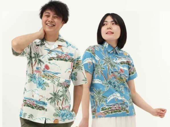 オキナワングライダー