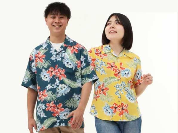 ニライカナイハイビー