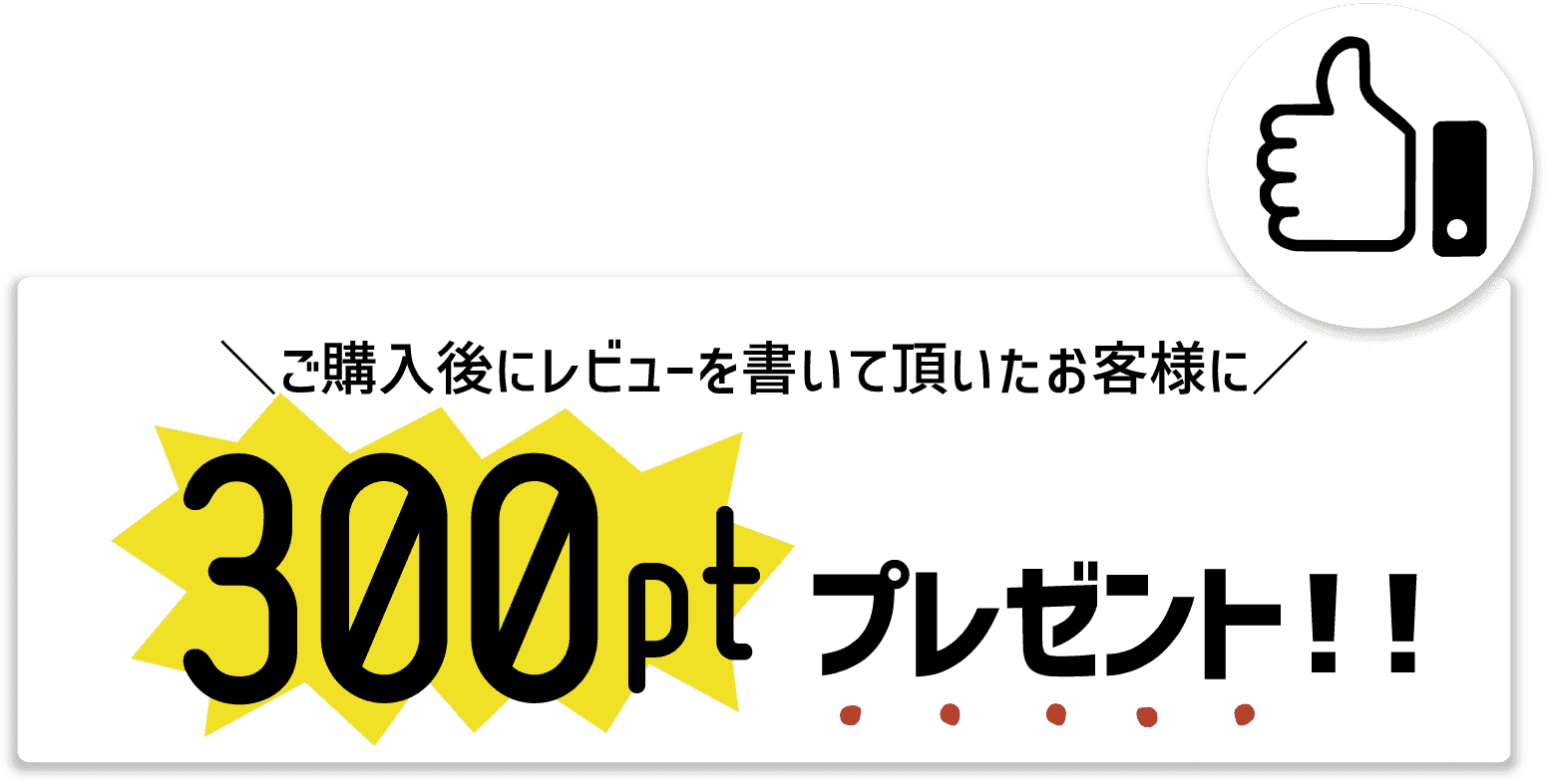 300ポイントプレゼント