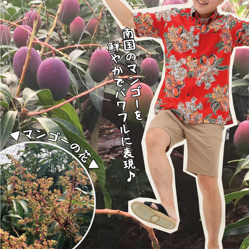 南国感たっぷりでエネルギッシュなメンズ沖縄アロハシャツ-かりゆしウェア　マンゴーの花