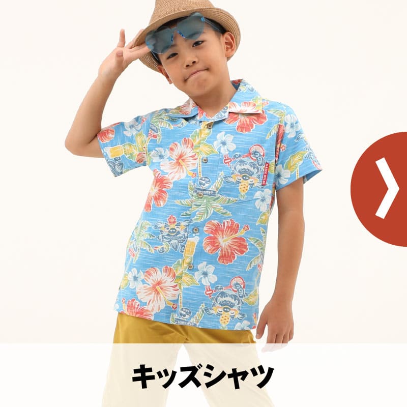 �L�b�Y�V���c