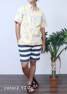 173030toropikarupain2