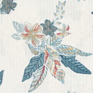 ハイビスカス　アロハ