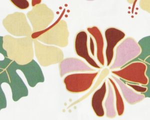 ハイビスカス　アロハ