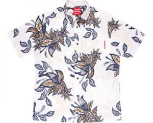 アジアンデイゴ