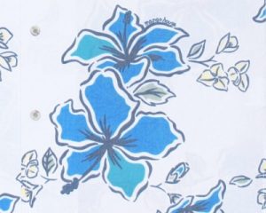 ハイビスカス　アロハ