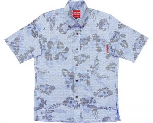 紅型魚ハイビー