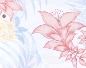 デイゴプルメリア