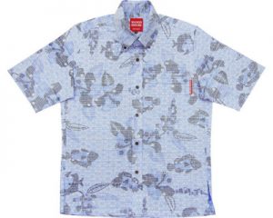 紅型魚ハイビー