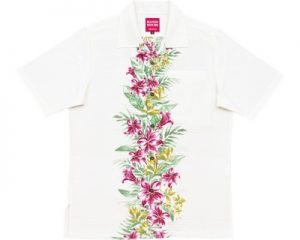 ユリストレチアボーダー