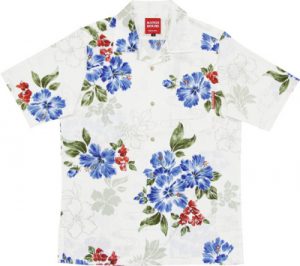 リアルハイビー