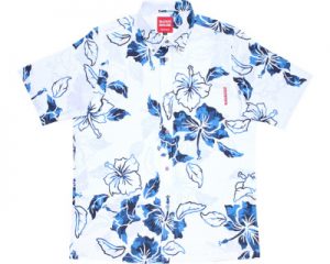 カモフラハイビー