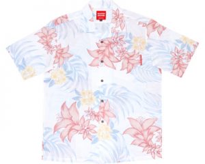 デイゴプルメリア　かりゆし