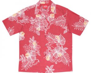 線画クイナハイビー