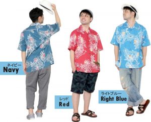 線画クイナハイビー開襟コーデ