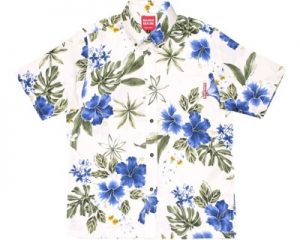 ボタニカルハイビー