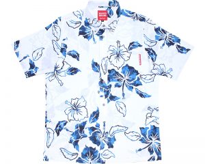 カモフラハイビー