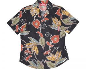 アジアンストレチア