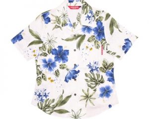 ボタニカルハイビー