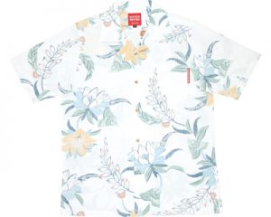 174018-m-02-dl月下美人G