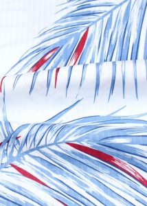 オオヤシアイボリ