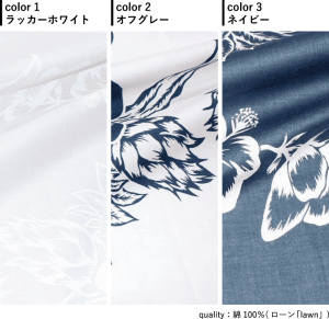 ドラゴンフルーツハイビーカラー