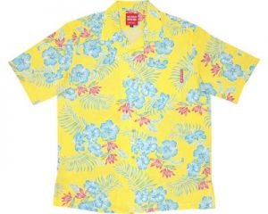 ブライトハイビー_イエロー