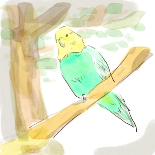 ○○インコカフェ○○