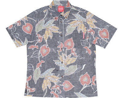 アジアンストレチア