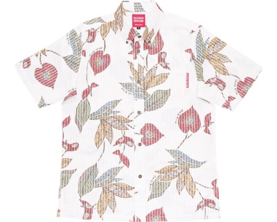 アジアンストレチア