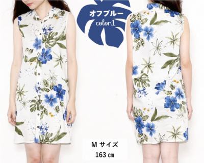 ボタニカルハイビー