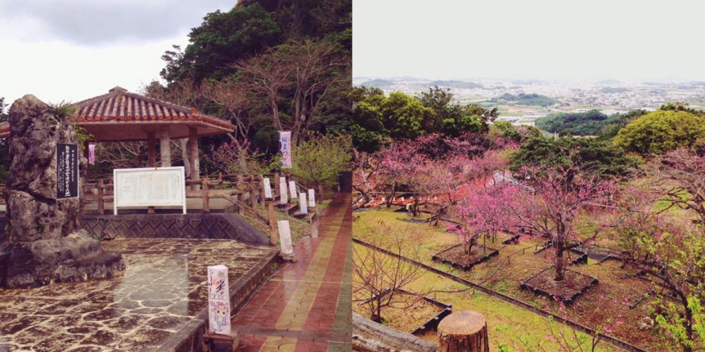 頂上さくら景色