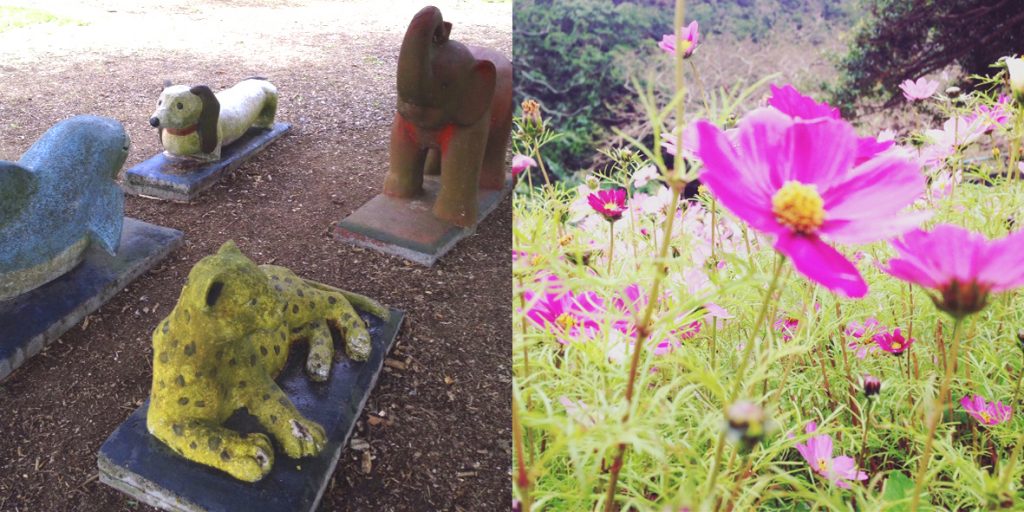 遊具・コスモス