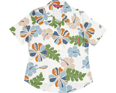 カラフルハイビ