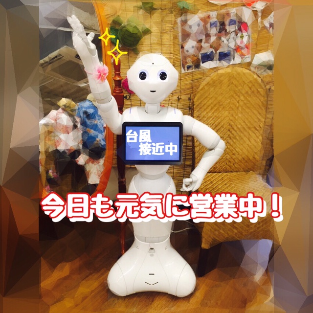 台風でも営業中♪　本店　hachi
