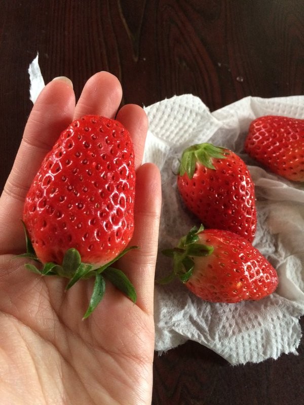苺(*∂ω∂*｀)ｻﾝｾｯﾄﾓｰﾙ店　ishikawa