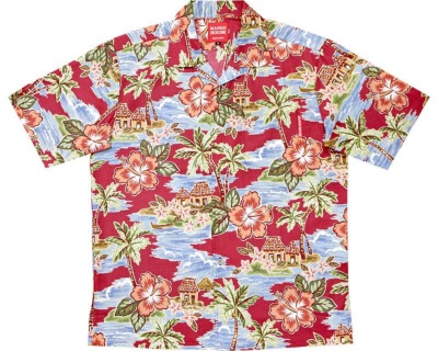 パームアイランド