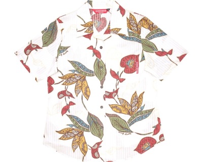 アジアンストレチア