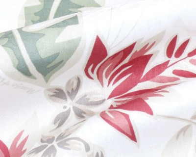 ロイヤルデイゴ_生地