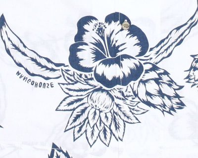 ドラゴンフルーツハイビー