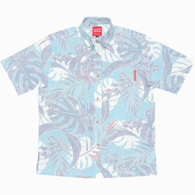 月桃モンステラ ブルー