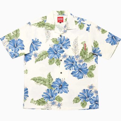 カーニバルハイビー