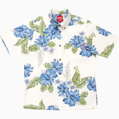 カーニバルハイビー