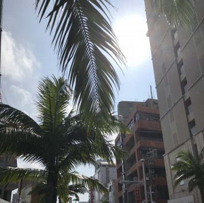 晴れの日の国際通り2018