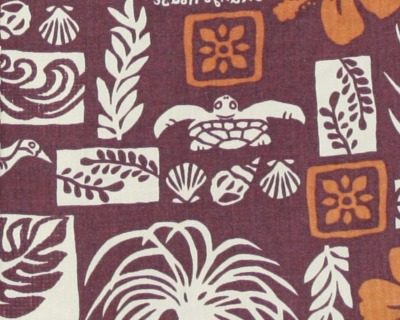 ウミガメ　アロハ