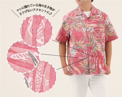 魚　アロハ　ウミガメ