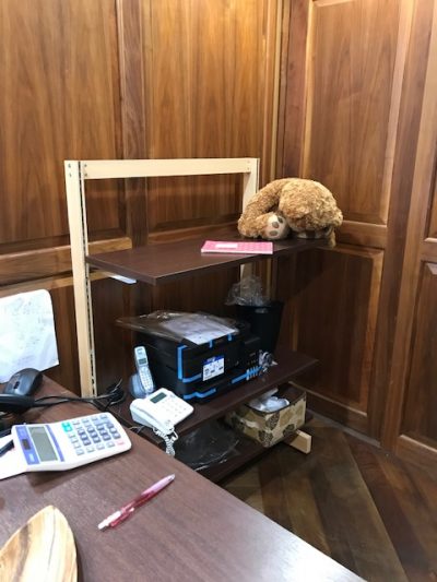 マンゴハウス5号店