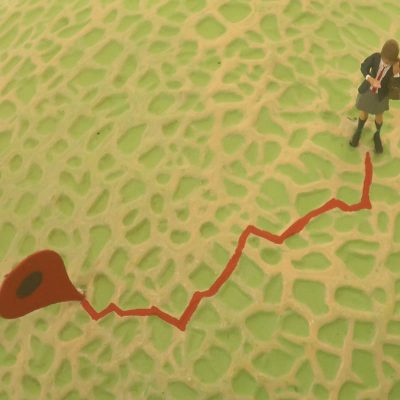 ミニチュアメロンのマップ